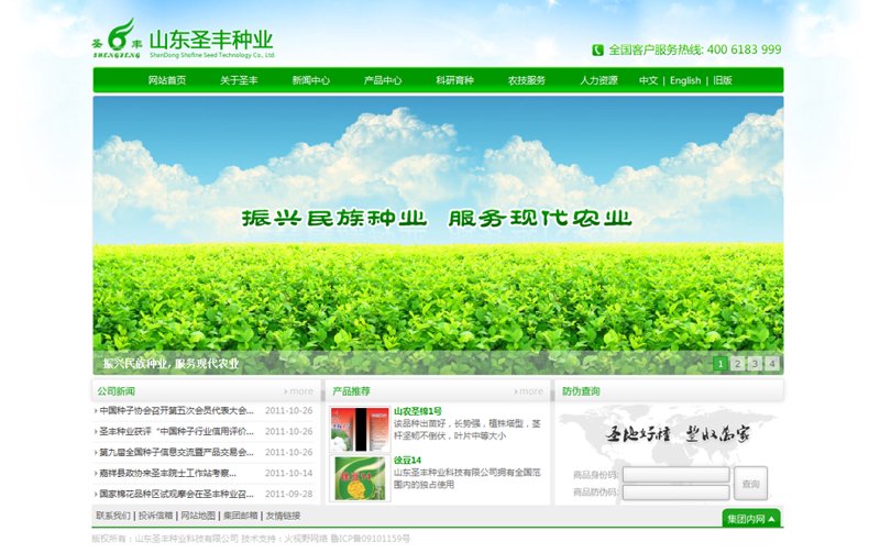 重庆网站建设全流程指南:从企业官网定制到响应式网站制作